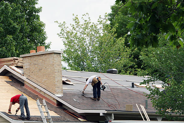 Best Roof Repair Services  in Mattawan, MI
